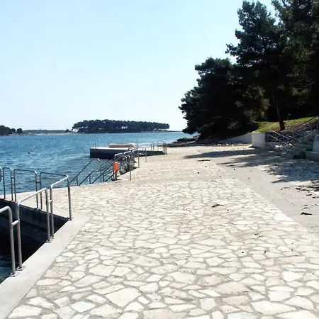 Apartman 7462b *